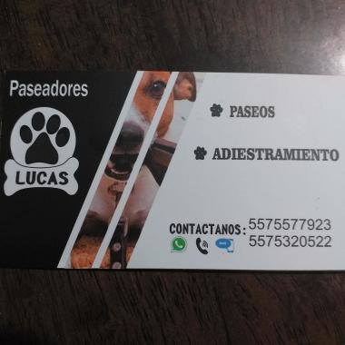 Pasadores "Lucas"