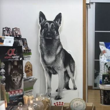 Pet’Shop Zafra2 Peluquería Canina
