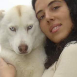 Petsitting e tratadora de animais