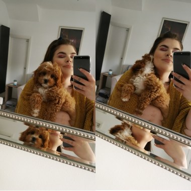 The Pawfect Partner