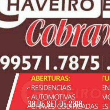 Chaveiro cobra