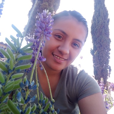 Profesional Rosa Paulina Maltos Rubio