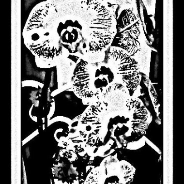 FORST FORSTNERIC & CO. d.n.o.