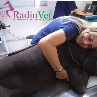 RadioVet Radiologia Veterinária Móvel