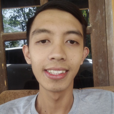 Ari wigunardi