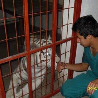 Umeve Pet