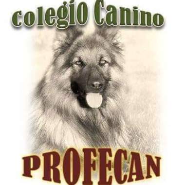 Educación canina Profecan