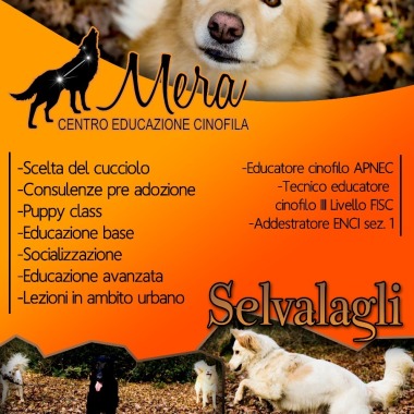 Chiara Di Matteo