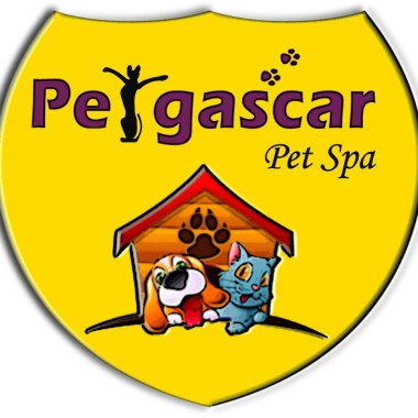 Petagascar Pet Spa