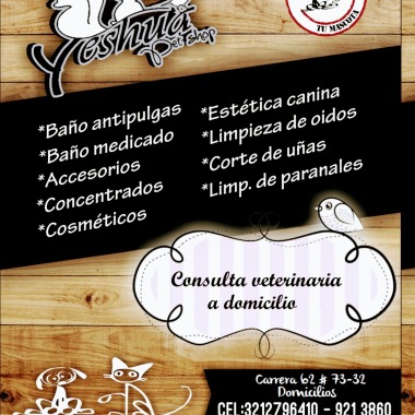 Yeshua Pet shop