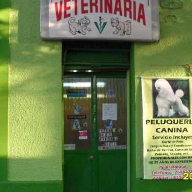 Veterinaria Antofagasta