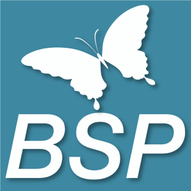 BSP Asistencia Home