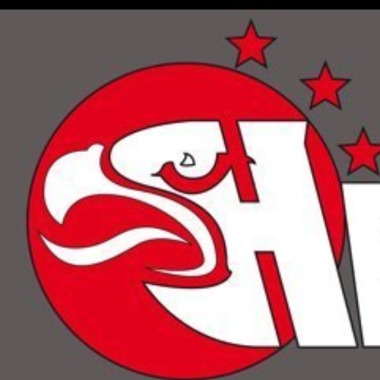 Agencia de investigacion Halsall S.L.