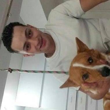 Peluquero canino