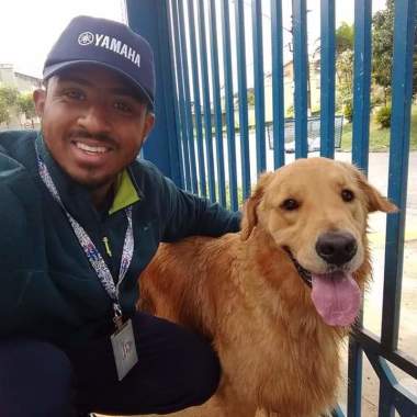 Cão sem estresse