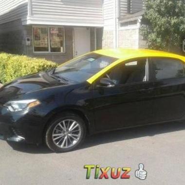 Conductor de taxi profesional