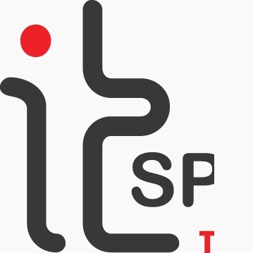 IT-SPECIALISTS