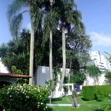 Jardineiro Curitiba