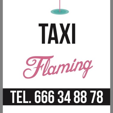 Flaming Taxi Taxi Oleśnica Postój