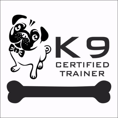 K9 Certified Dog Trainer
