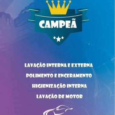 Limpeza altomotiva