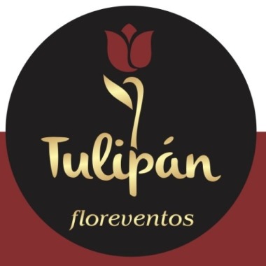 Tulipán Flor Eventos