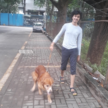 Walk Your Dog