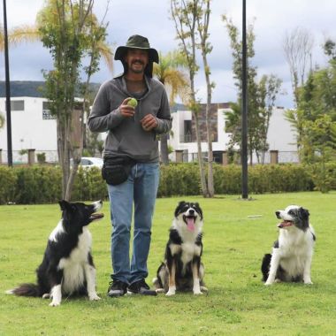 Martican Entrenamiento Canino