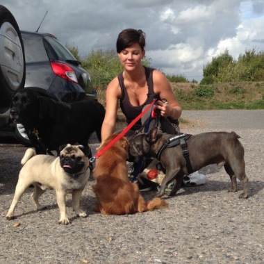All 4 Animals Petcare