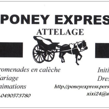 Poney Express attelage