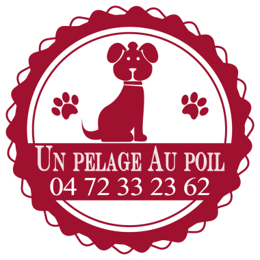 04 72 33 23 62 | Salon de toilettage Un pelage au poil