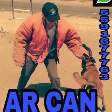 AR CA N