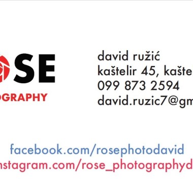 Rose photography