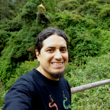 Profesor David Rosales