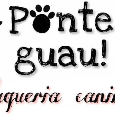 Ponte Guau