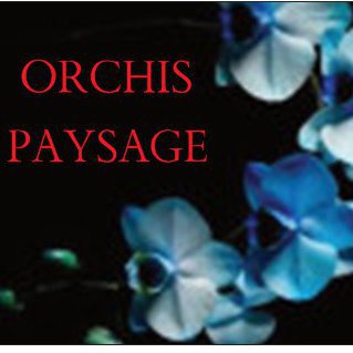 ORCHIS PAYSAGE