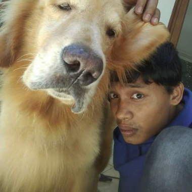 Pet groming propesional