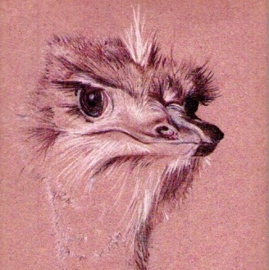 Palômba