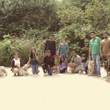 Dogsalute