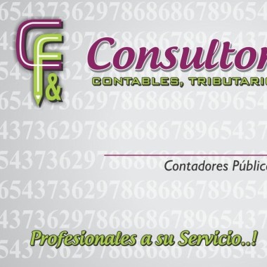 C&F CONSULTORES CONTABLES Y FINANCIEROS S.A.S