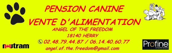 Angel Of The Freedom