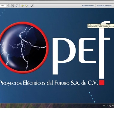 PROYECTOS ELECTRICOS DEL FUTIRO S.A. DE C.V.
