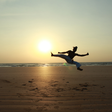 Capoeira Brasil Pune
