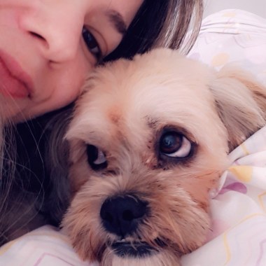 Babá de animais / Passeador de cães / Banhista