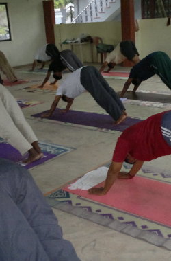 Privetyoga at Your Place 