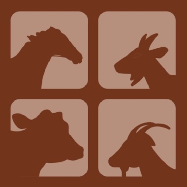 Assistência Veterinária