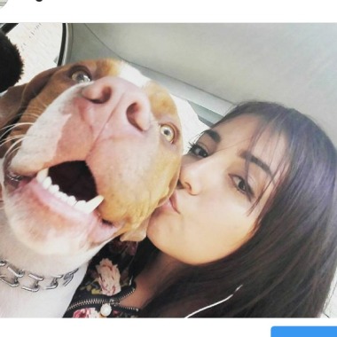 Paseadora de perros