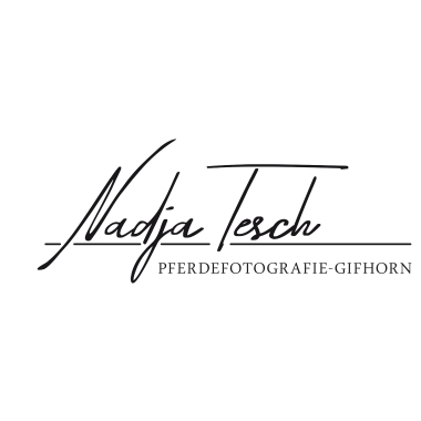 Pferdefotografie Gifhorn