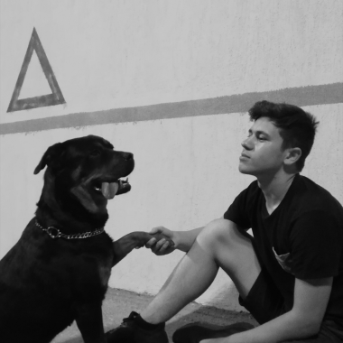 Köpek eğitmenliği