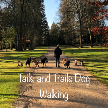 Tails and Trails Dog Walking